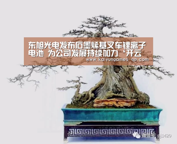 东旭光电发布石墨烯基叉车锂离子电池 为公司发展持续加力‘开云棋牌官网’(图2) 开云棋牌官网