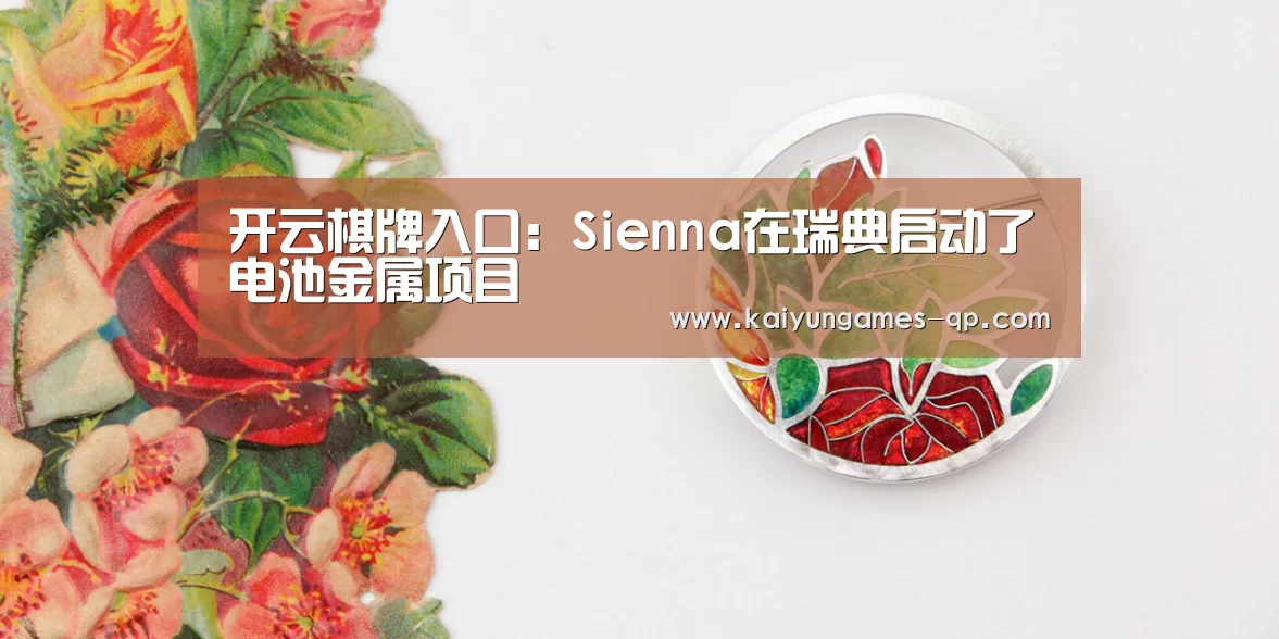 开云棋牌入口:Sienna在瑞典启动了电池金属项目(图3) 开云棋牌官网