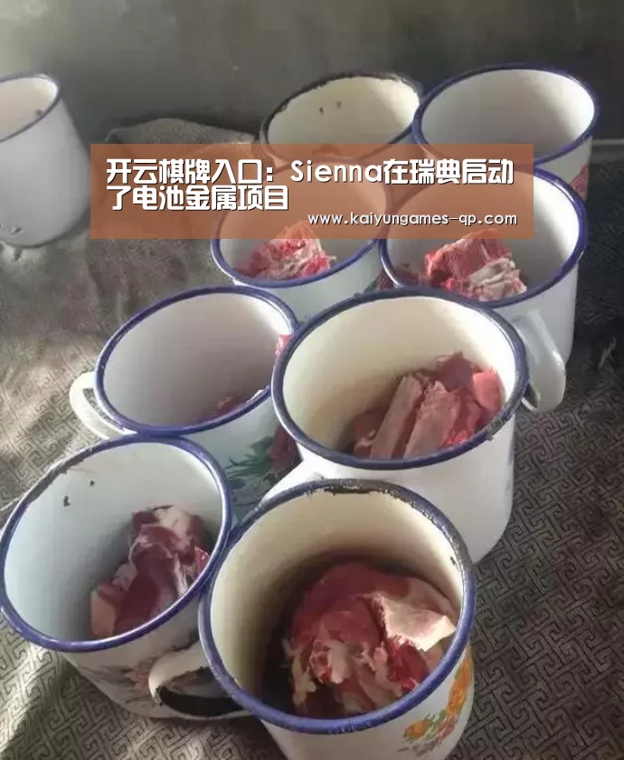 开云棋牌入口:Sienna在瑞典启动了电池金属项目(图4) 开云棋牌入口