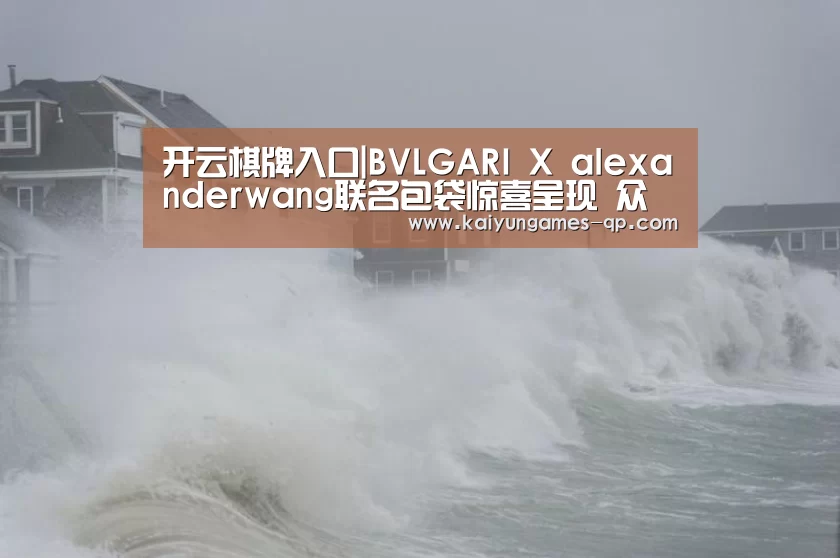 开云棋牌入口|BVLGARI X alexanderwang联名包袋惊喜呈现 众星亮相助阵(图2) 开云棋牌入口